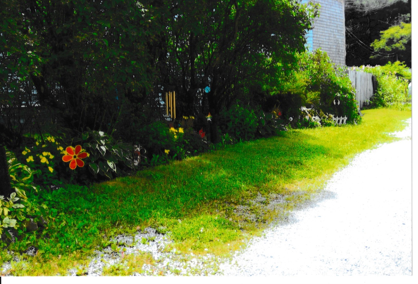 Havelock Street gardens
